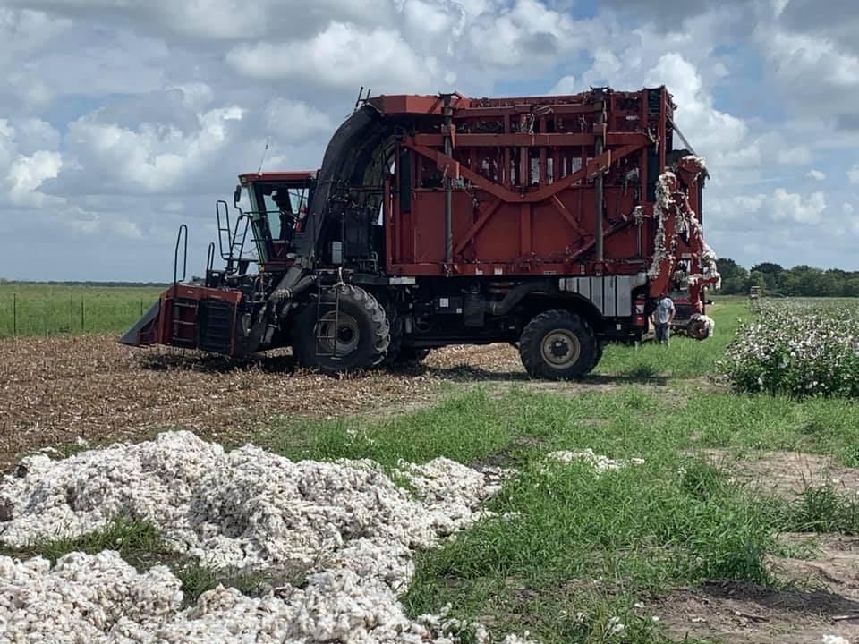Cotton... - Beasley Community Volunteer Fire Department | Facebook