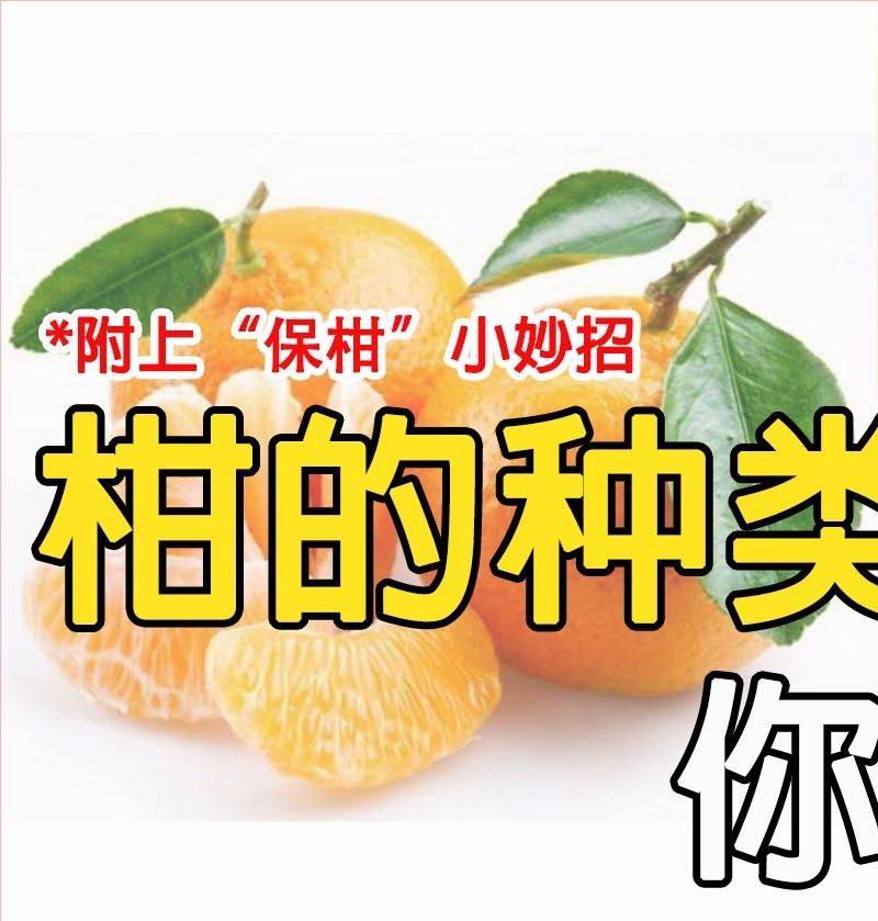 【柑的种类 你知多少】🍊🍊🍊... - Johor My Hometown 我来自柔佛 | Facebook