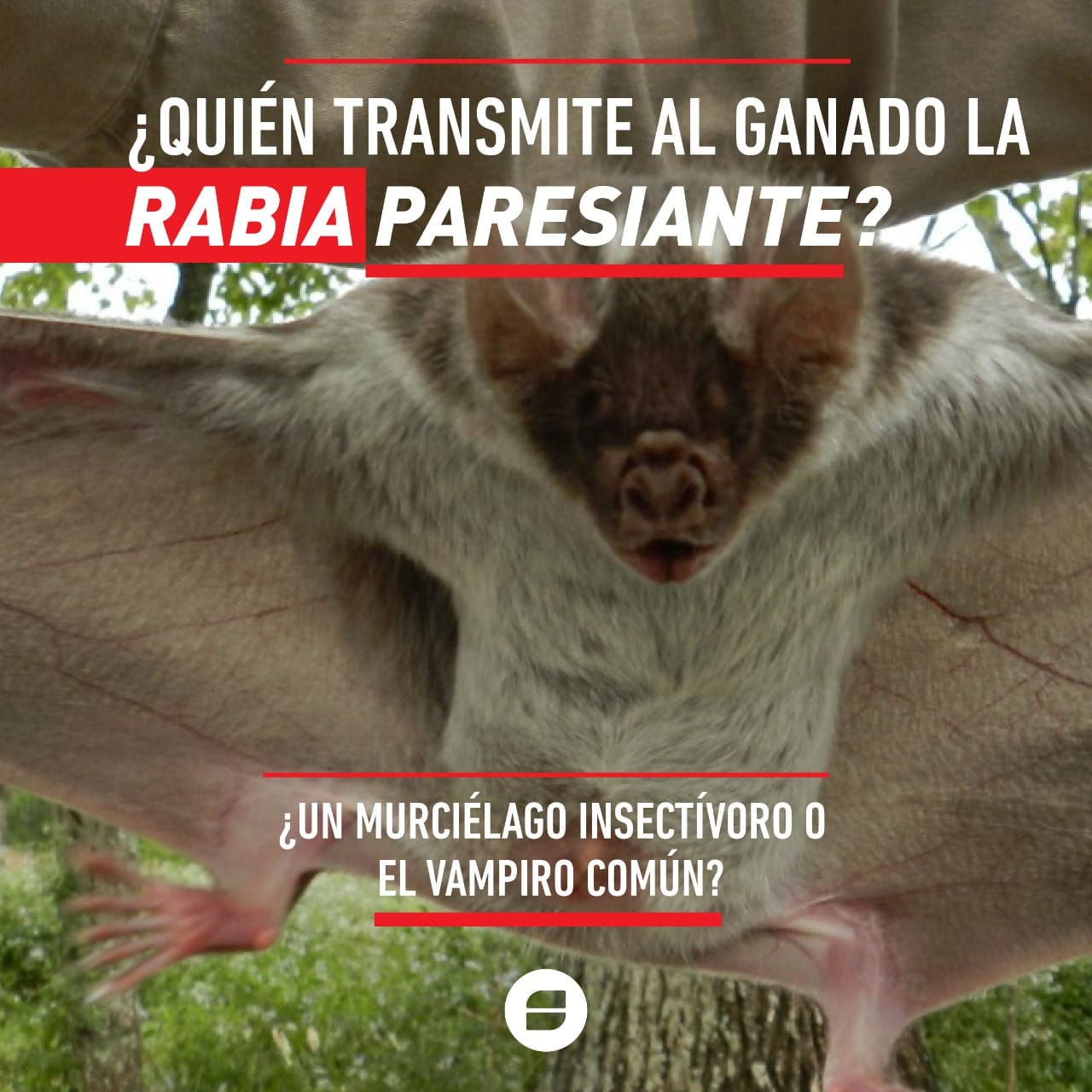 Senasa Argentina - La rabia paresiante es una enfermedad de origen ...