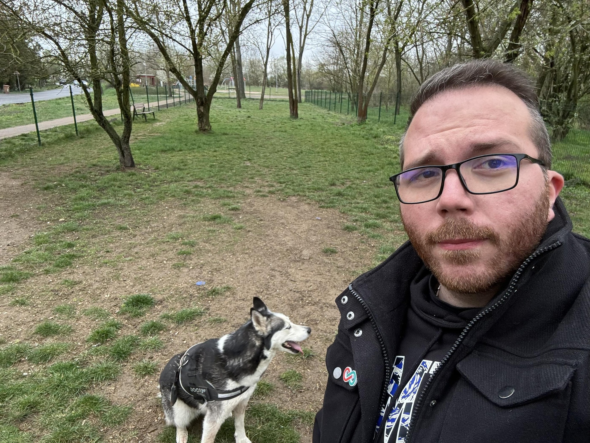 Pintér Dávid