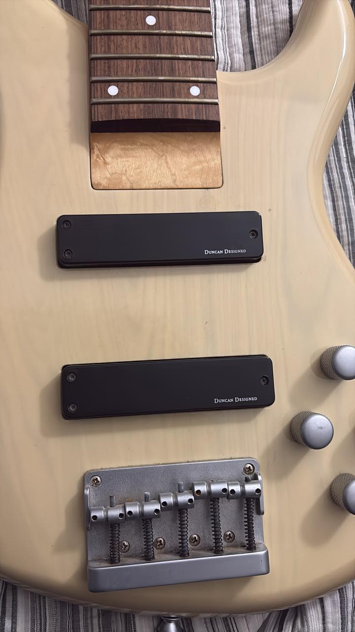 YAMAHA B1D ディバイデッドピックアップユニット Yamaha B1D Divided