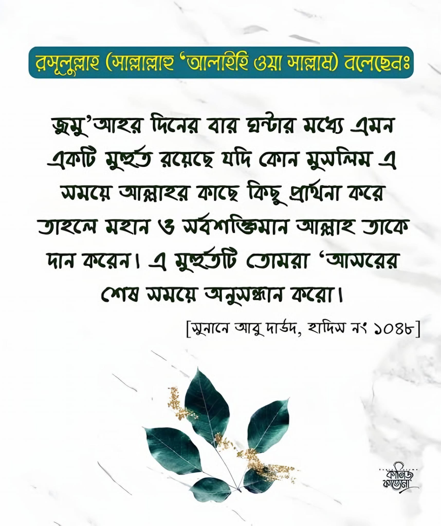 Md Rashed Islam