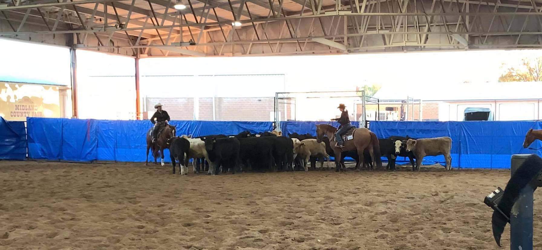 Infinity Ranch LLC