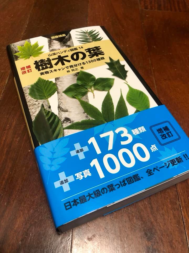 増補改訂 樹木の葉』（山と渓谷社、税込5500円）が発売になりました