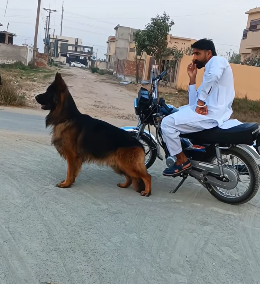 Ahsan Rajpoot