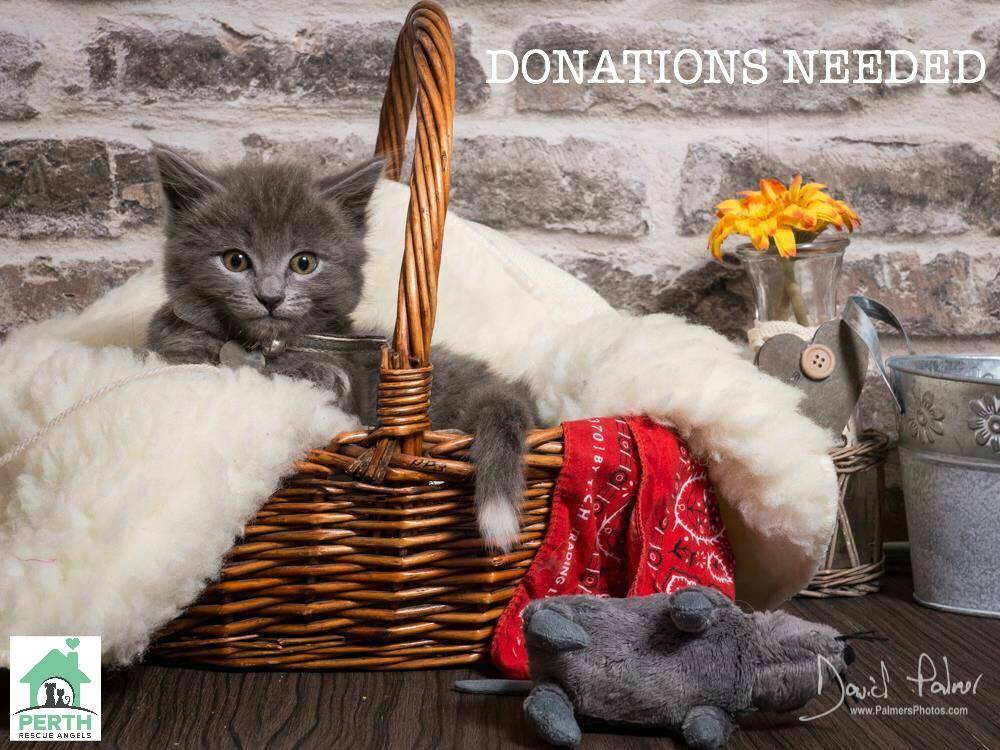 🛍🎁🎀 HAMPER ITEMS NEEDED 🎀🎁🛍 We are... - Perth Rescue Angels