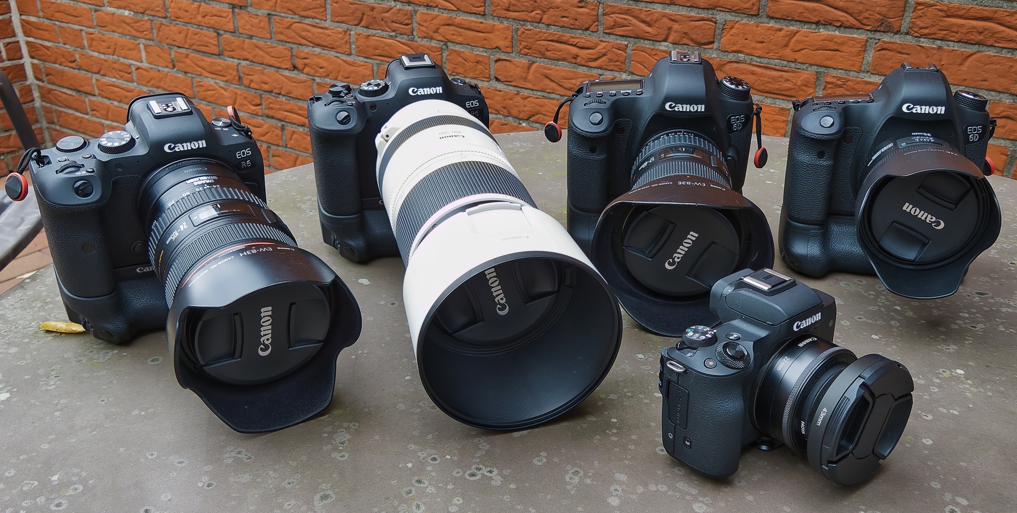 Canon EOS cameras used for photography and video