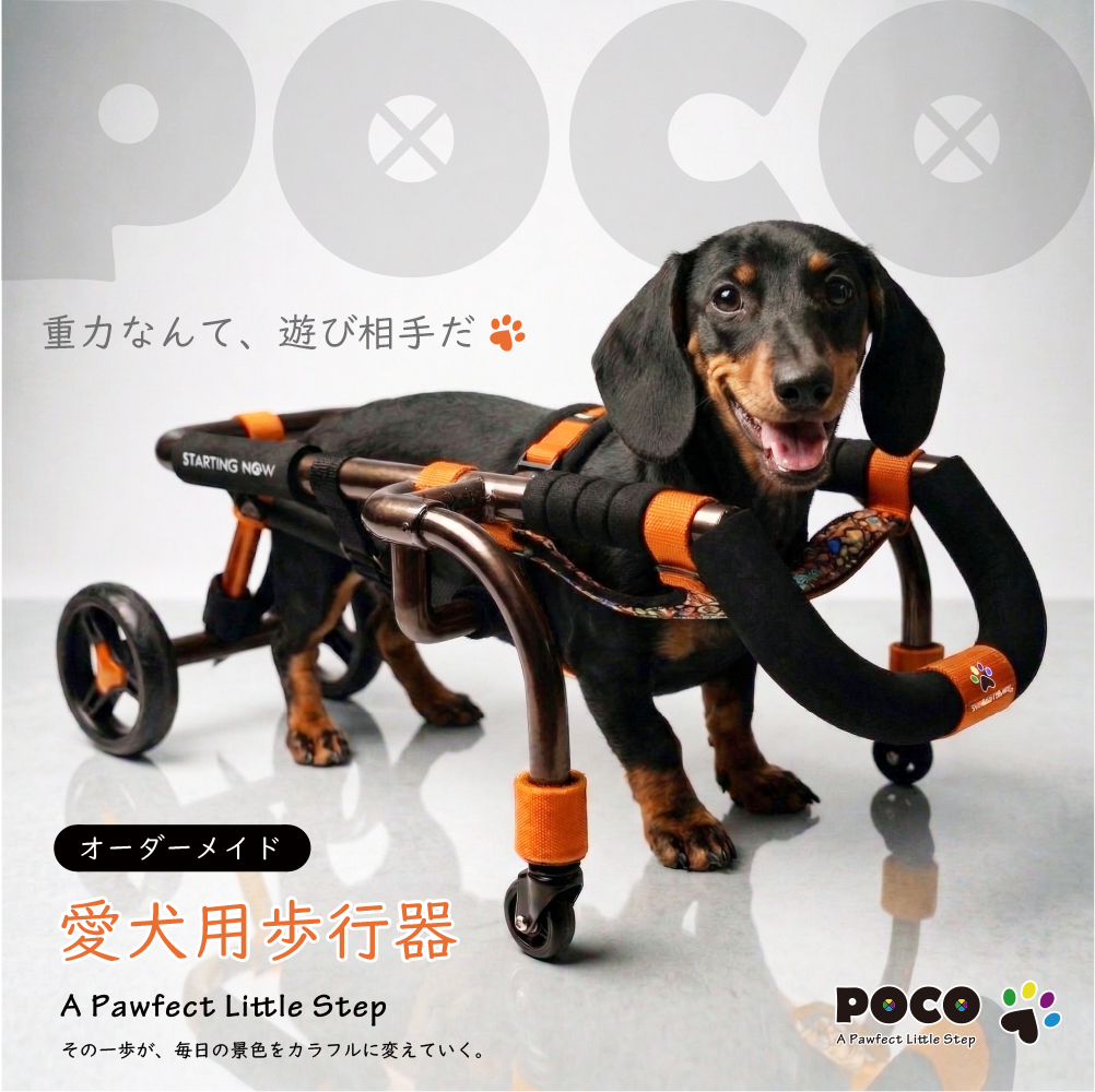 POCO歩行器の新作リリース 「重力なんて、遊び相手だ🐾」 愛犬の新しい