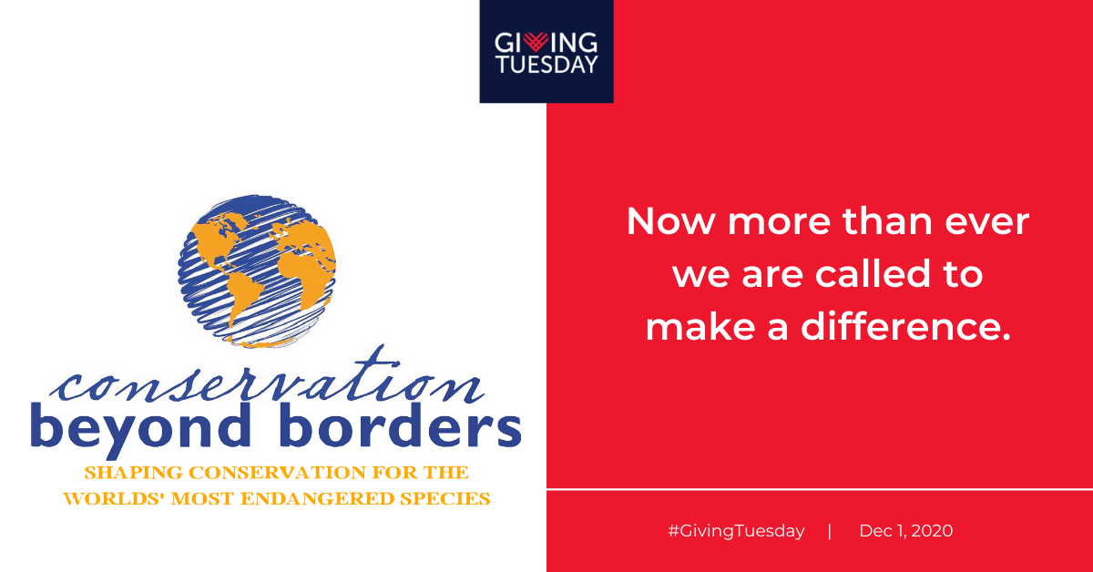 Conservation Beyond Borders – Conserving wildlife beyond borders – DWWITP