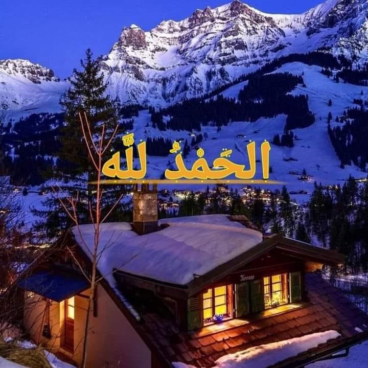 ئاشــتــی - الْحَمْدُ لِلّٰه 🍎🌳الْحَمْدُ لِلّٰه 🍏🌳الْحَمْدُ لِلّٰه 🍎🌳 ...