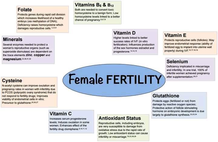 The Infertility Check (female) is a test for important hormones which can help build a picture of why a woman might not be conceiving. Tests include FSH, LH, prolactin and oestradiol. There
