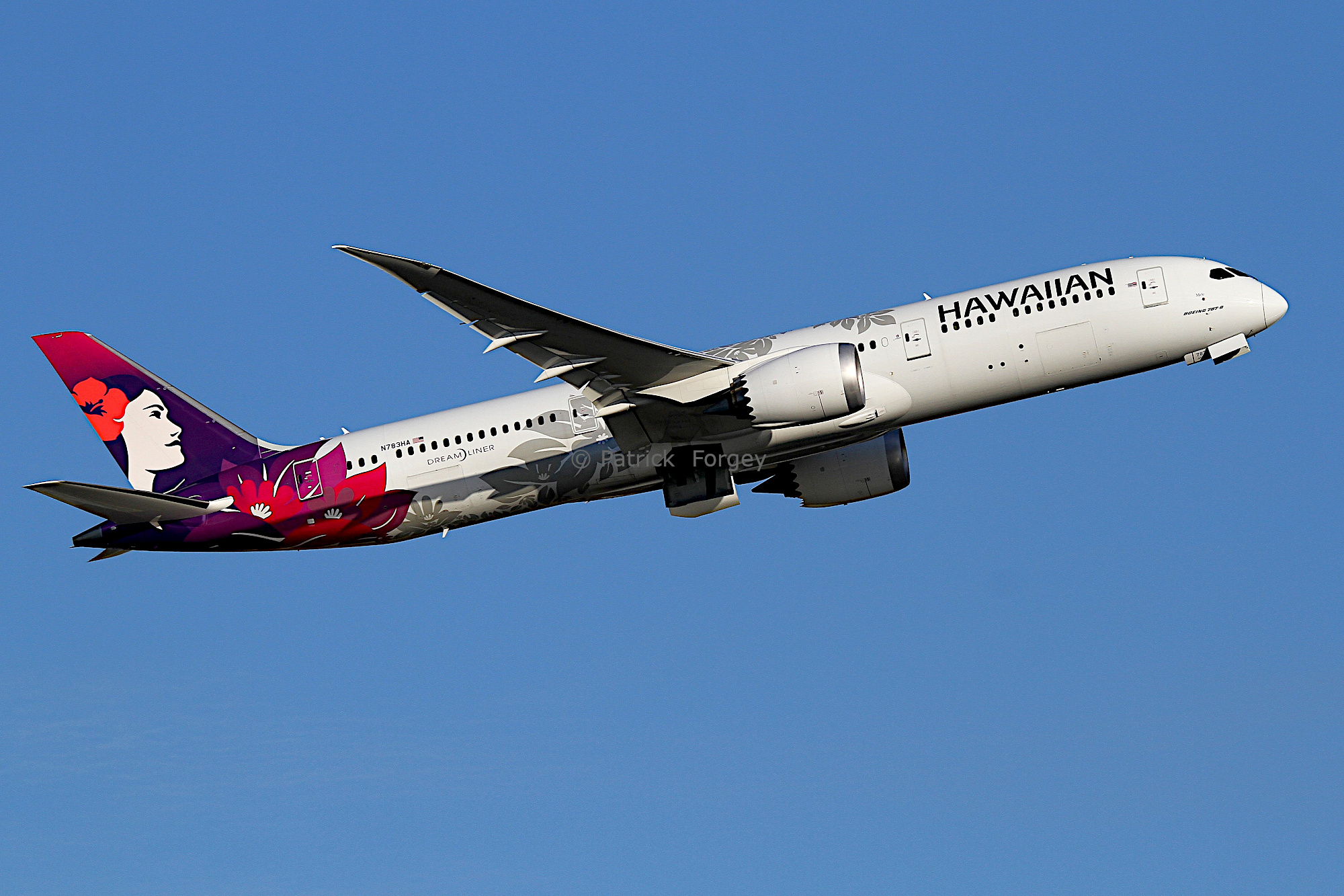 Modellino Aereo Hawaiian Air B787-9 Dreamliner N781HA, Scala 1:400, NG Models