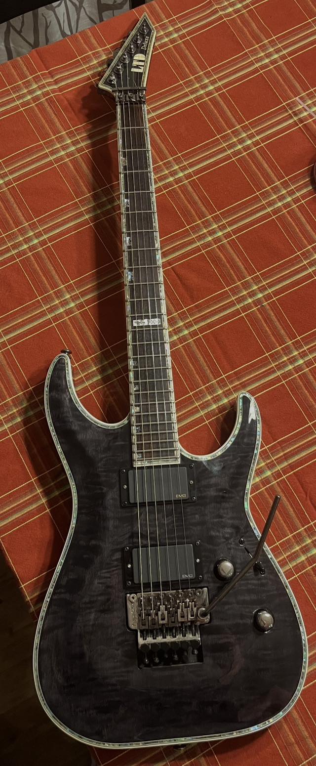 Thoughts on LTD EX-400BD guitar
