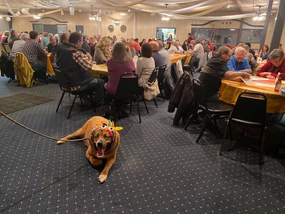 Pet Project Marseilles Il