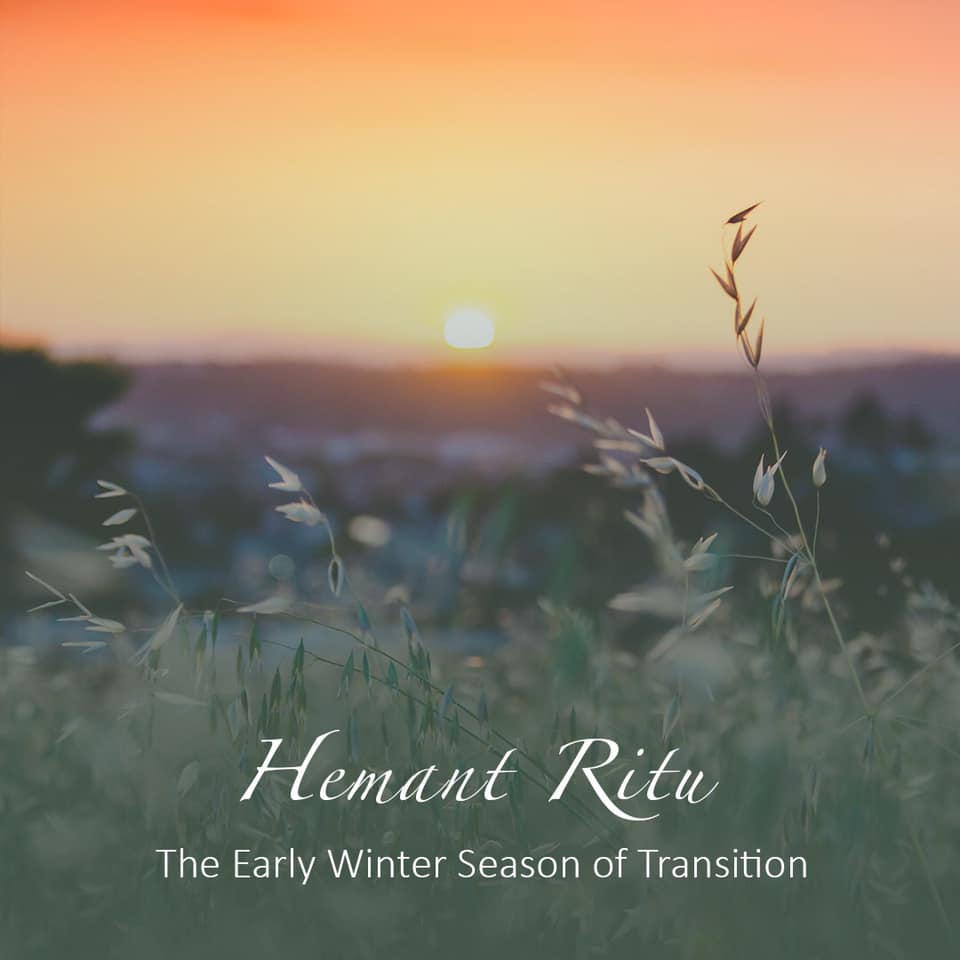 We begin the month of November with... - Forest Essentials | Facebook