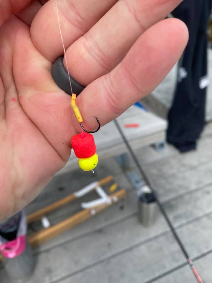 circle hook trout fishing Double Offset 7/0 Whether youre targeting channel cats FUSIGO Barbless Fishing Hooks Kit,