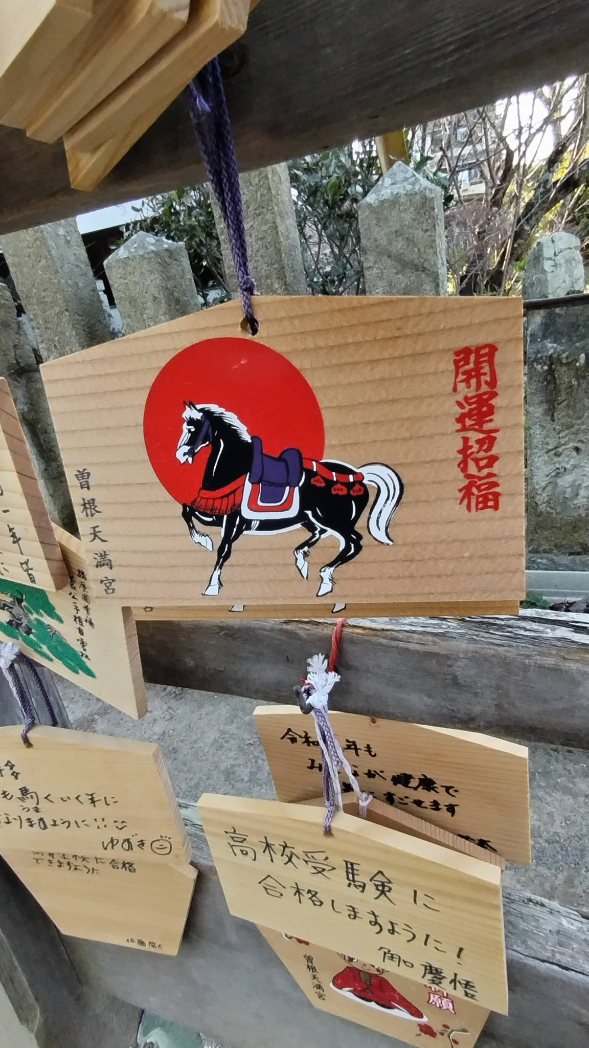 ライダーマン・ 結城丈二 [演]・山口豪久**