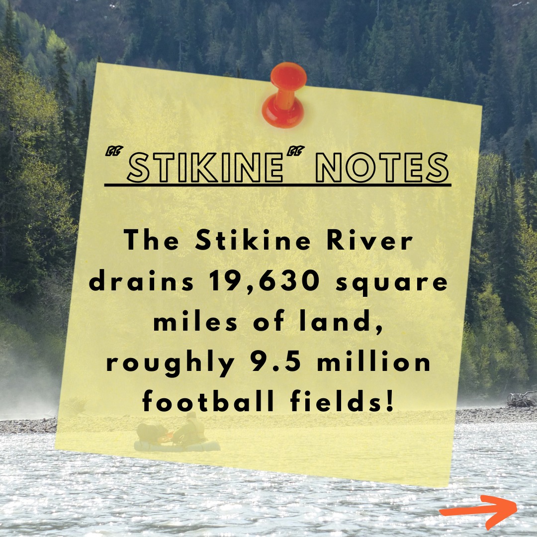 Stikine Notes Part 1 of 4: The... - Salmon Beyond Borders | Facebook