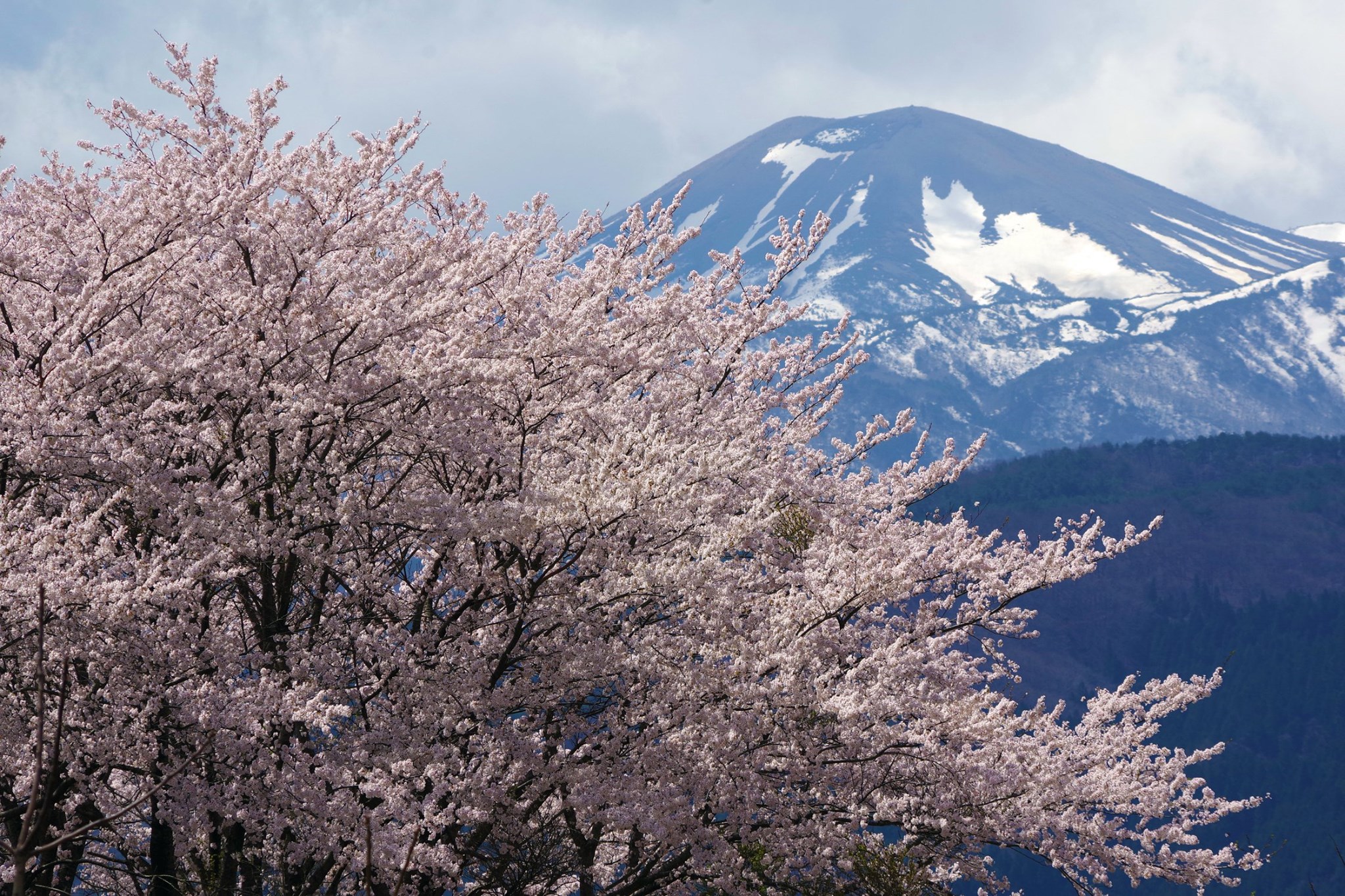 Fukushima city International Friendship Association - F-IFA - 【日本語👇 ...