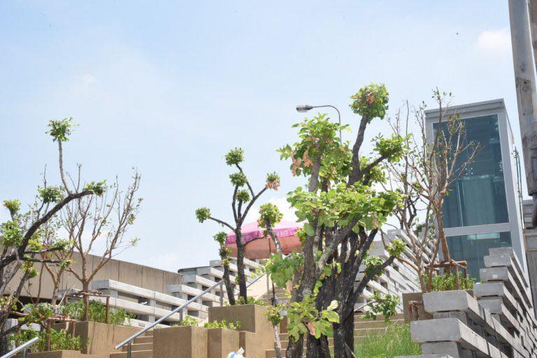 พระปกเกล้าสกาย... - UDDC - Urban Design and Development Center