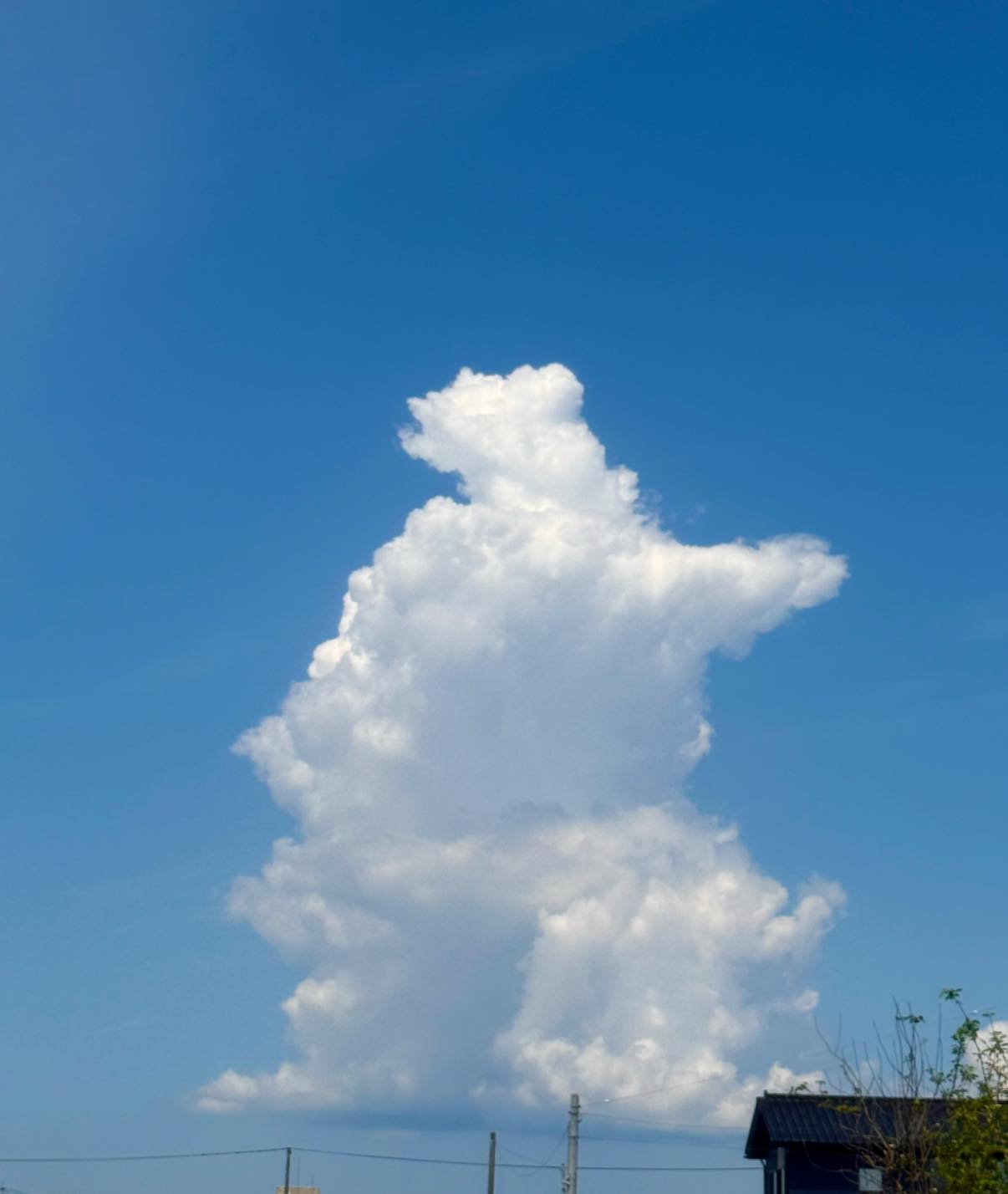 これは5月13日午前の空です。 何かに見える様な見えない様な‥ 想像が 