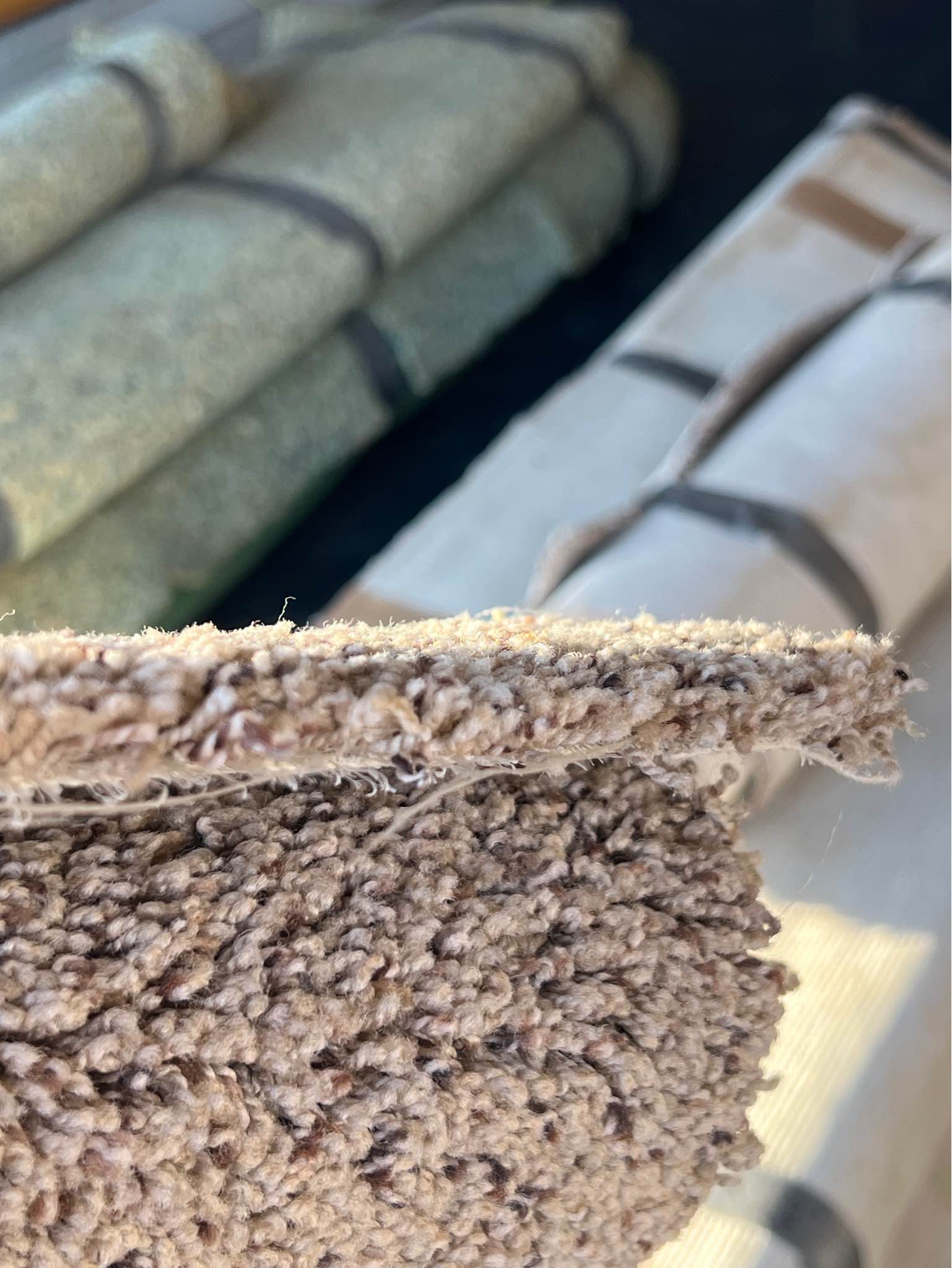 Carpet & Padding (350 ft.²+) - Area Rugs - Sparta, Wisconsin | Facebook ...