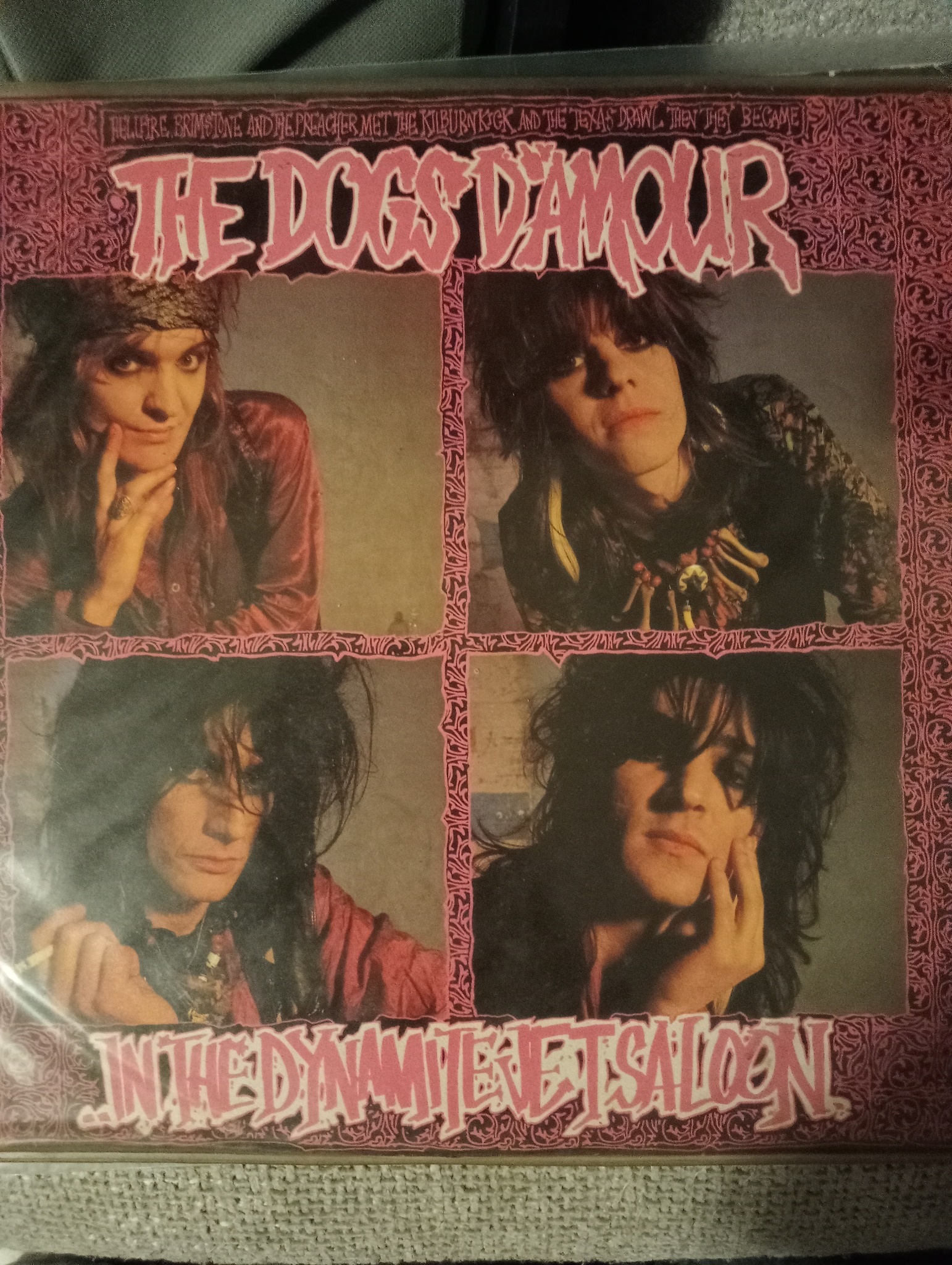 The Dogs D