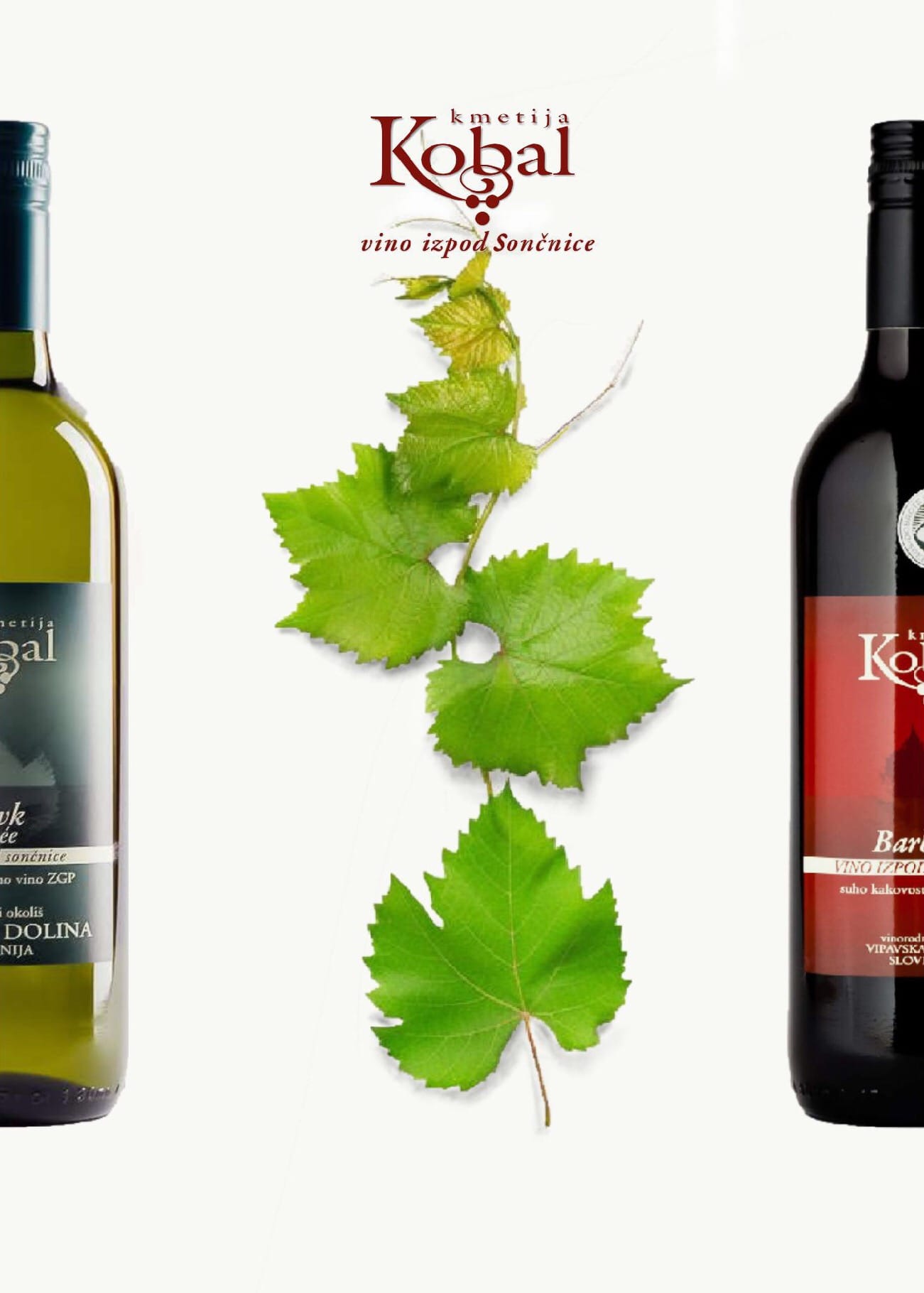 Kmetija Kobal | Vipava