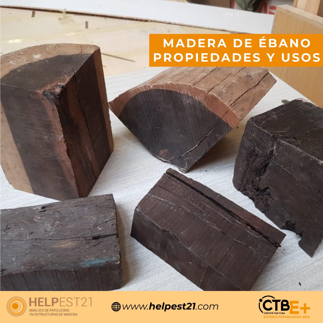 ¿Sabes de la madera de ébano y sus usos? En este post te lo explicamos ...