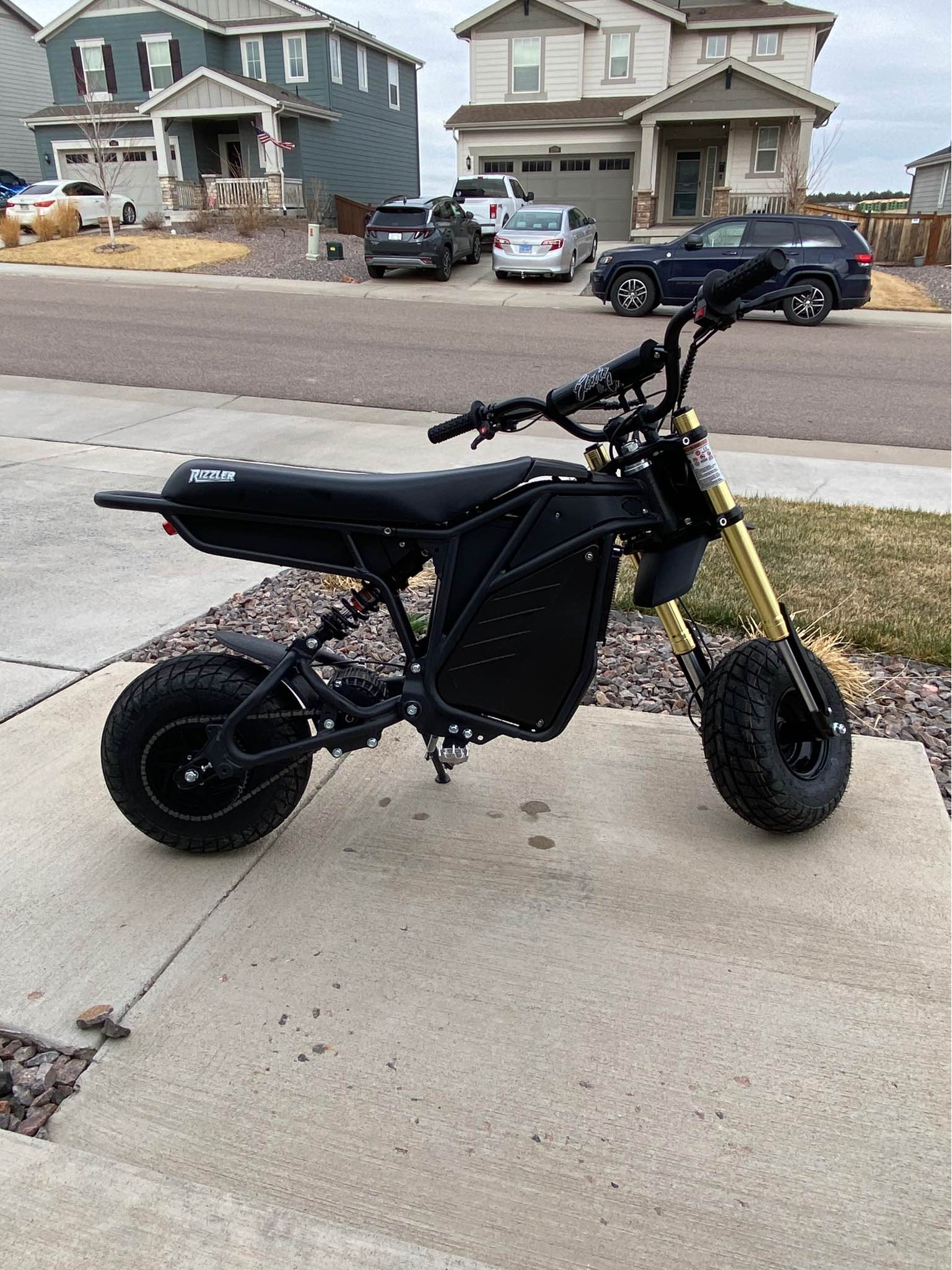 2025 Electro and Co Rizzler - Motorcycles - Elizabeth, Colorado ...