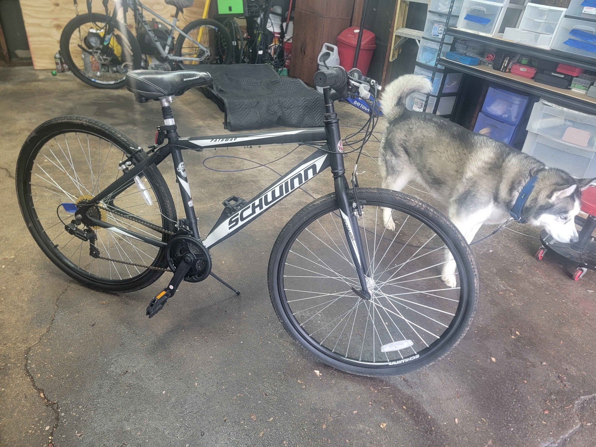 schwinn pathway bicycle Men's Trailway 700c/28" Hybrid Bike Lead the way on the Womens Trailway by Schwinn Rob J Knowles - 700C