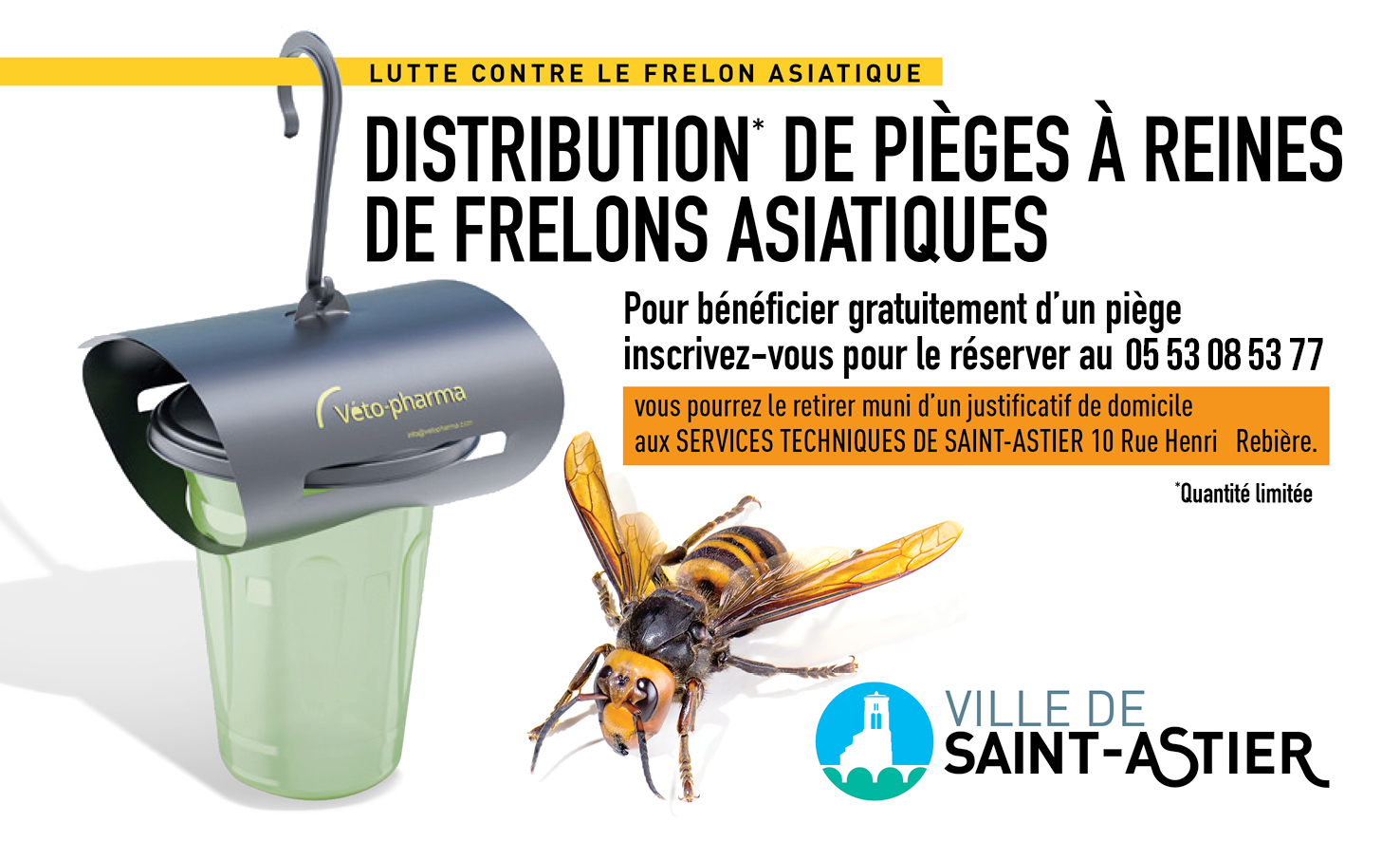 A Quoi Servent Les Frelons Asiatiques
