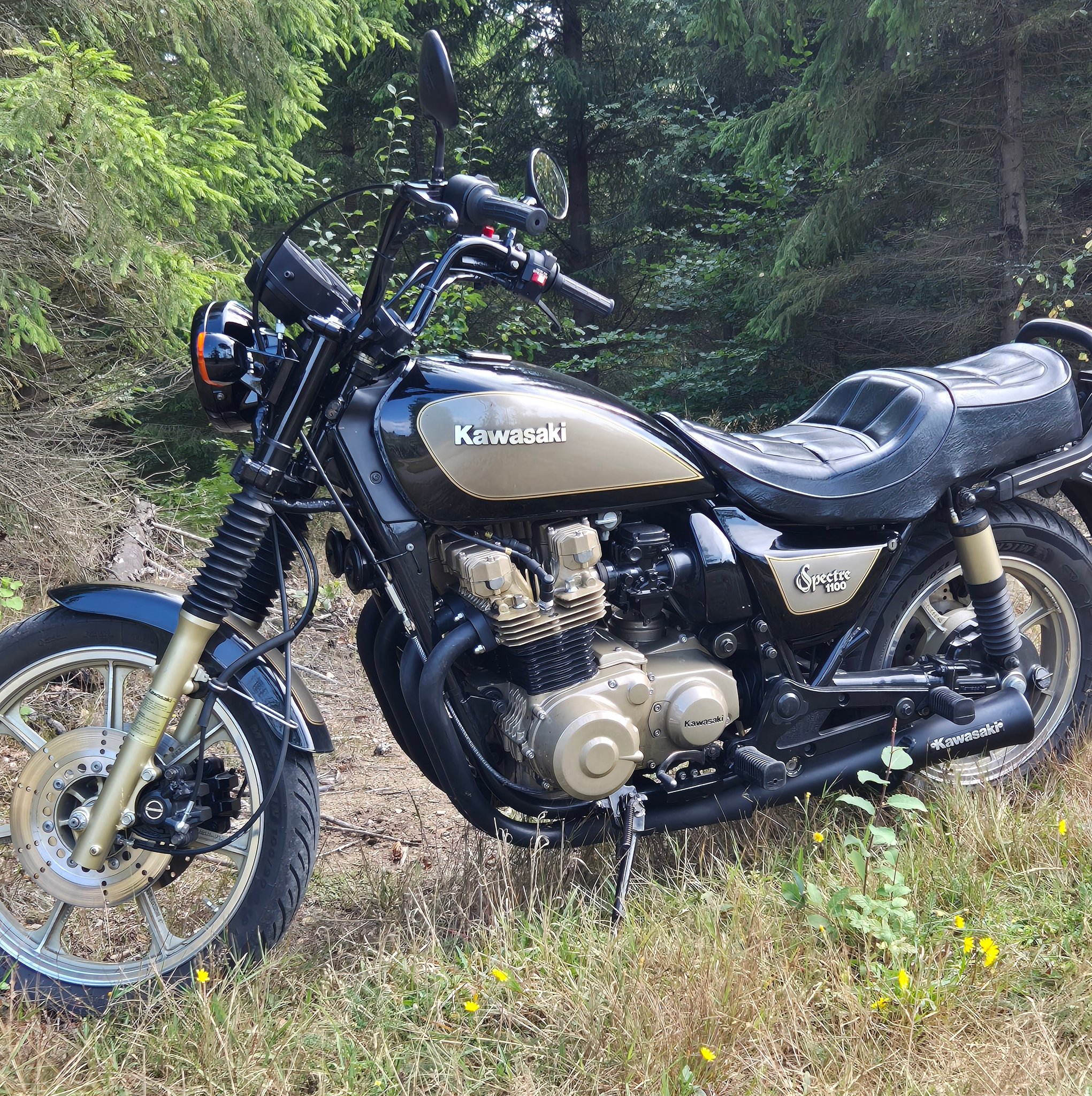 Hello from Sweden 🇸🇪 Spectre 1100 -83