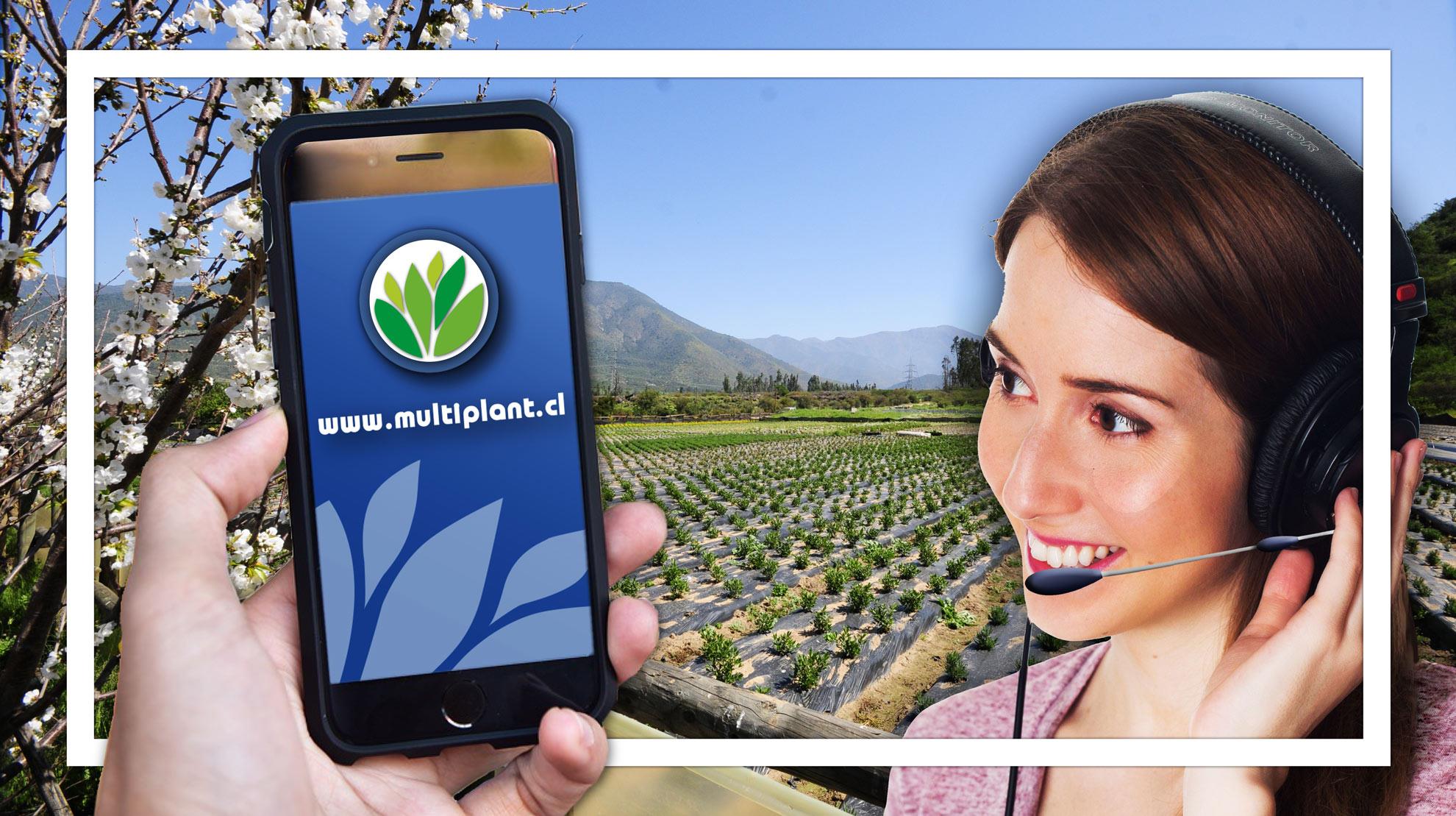 #Vivero #Multiplant cuenta con... - Vivero Multiplant
