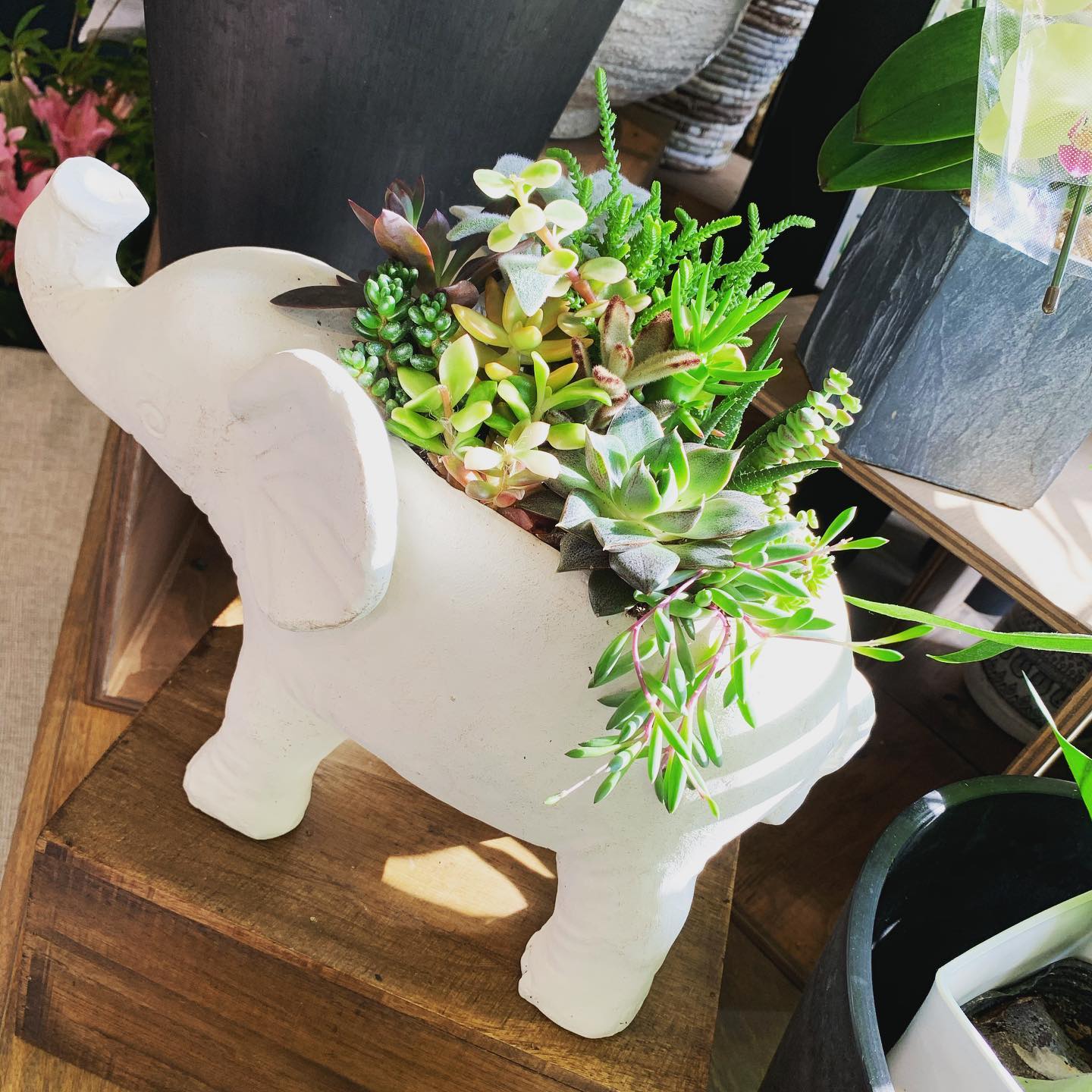 岩見沢市 花屋 空知 空知の花 空知の花屋 Hanazenflowers Hanazen Flower S Facebook