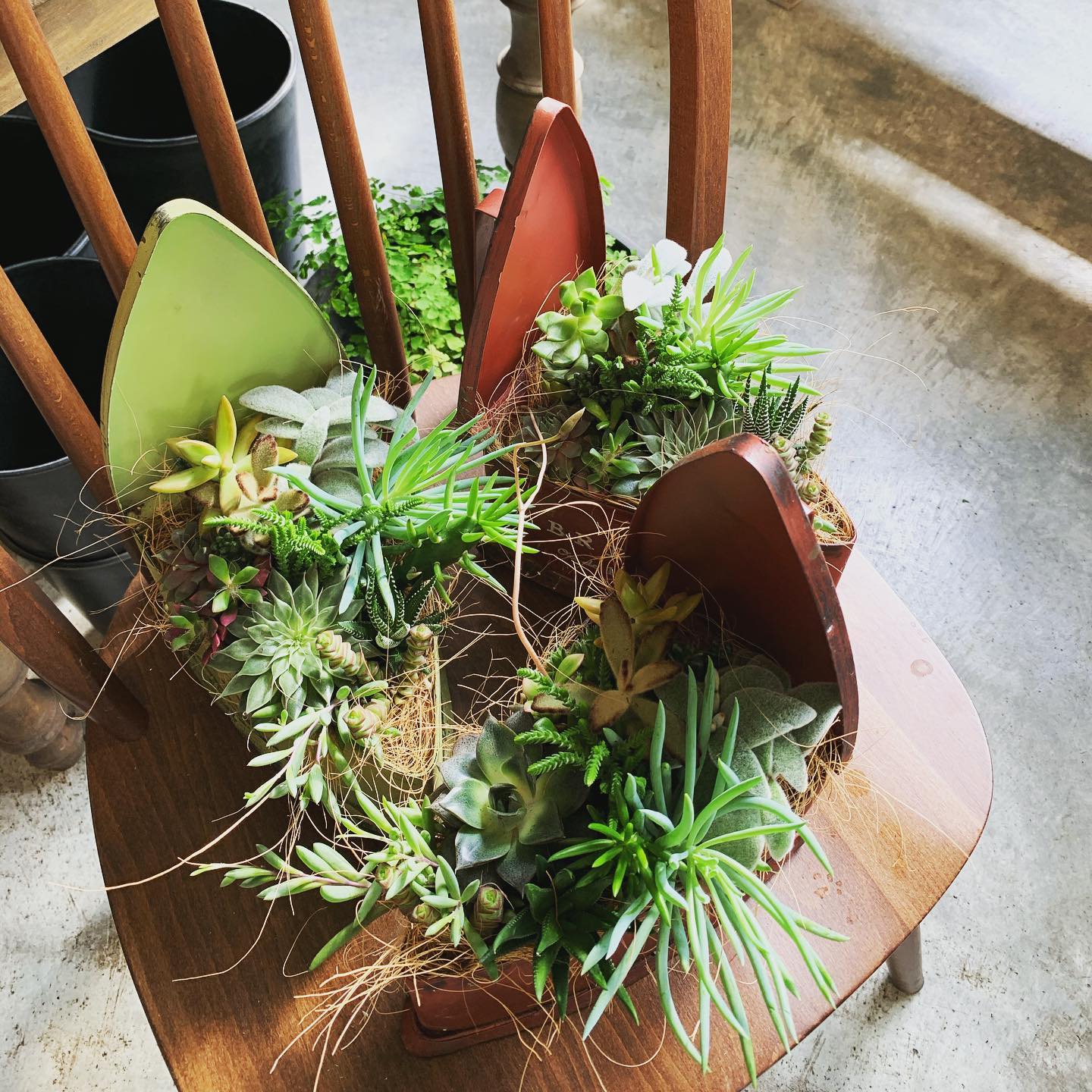 岩見沢市 花屋 空知 空知の花 空知の花屋 Hanazenflowers Hanazen Flower S Facebook