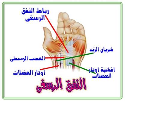 هل تشعرين : بألم بكف اليد - الذراع ؟ وخز بالأصابع خصيصاً أثناء النوم ...