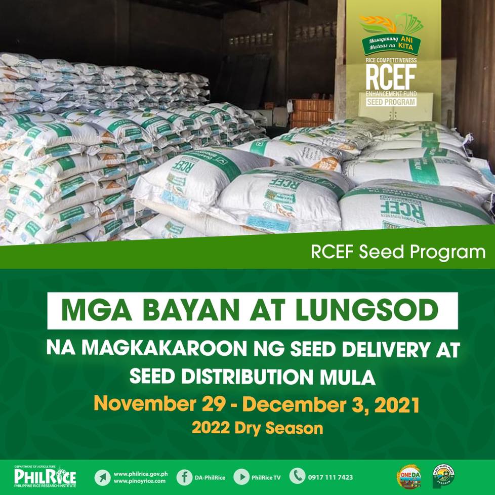 #RCEFSeedProgram... - Department of Agriculture - Philippines | Facebook