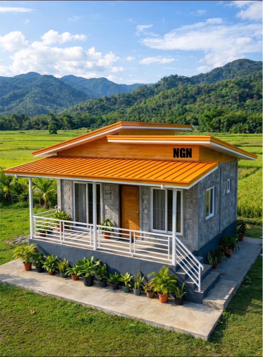 Nathaniel - 🇵🇭Modern rural bungalow with a gray concrete hollow block ...