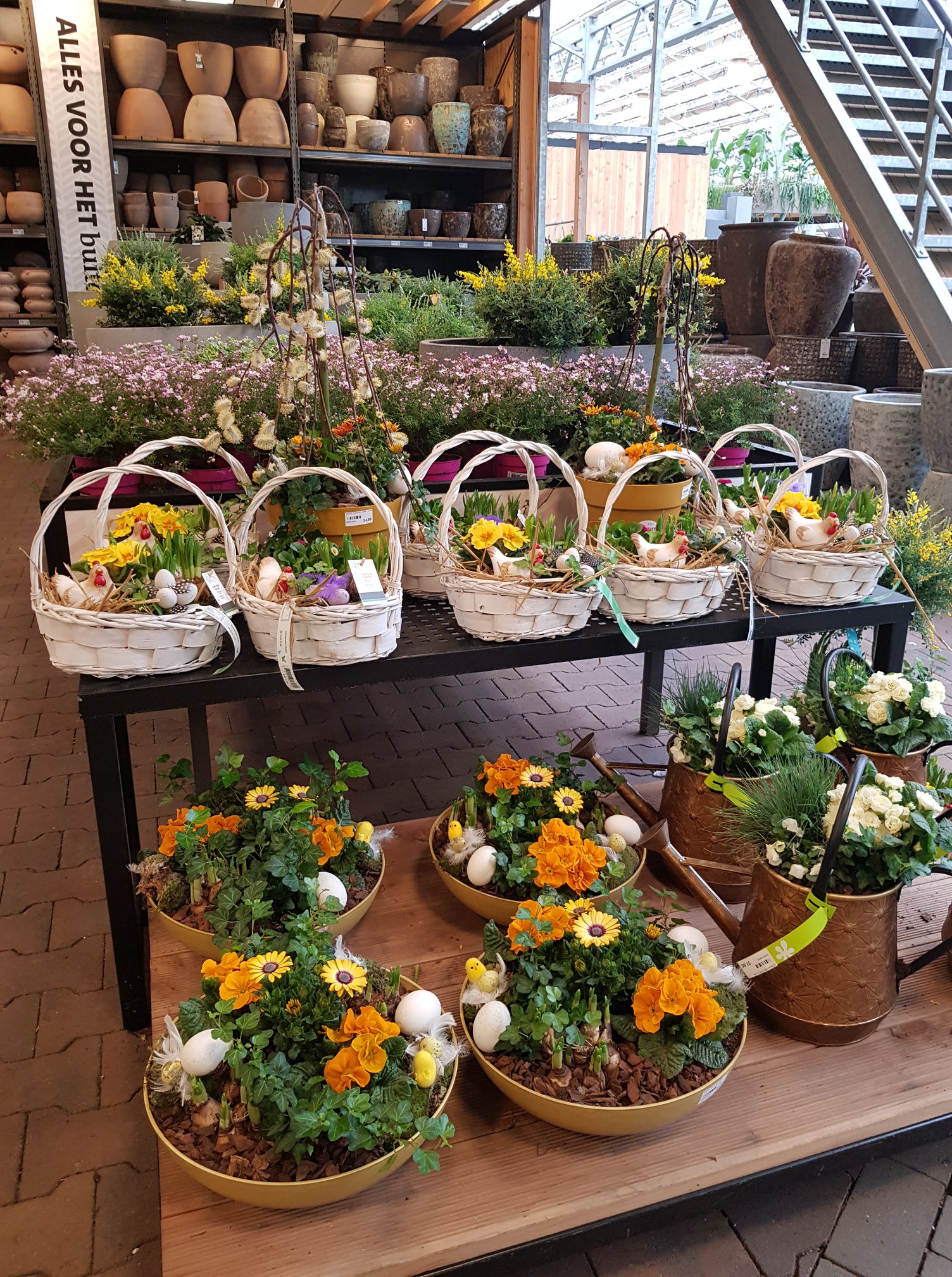 Intratuin - KLEUR IN DE TUIN 🤩😎 Met deze leuke... | Facebook