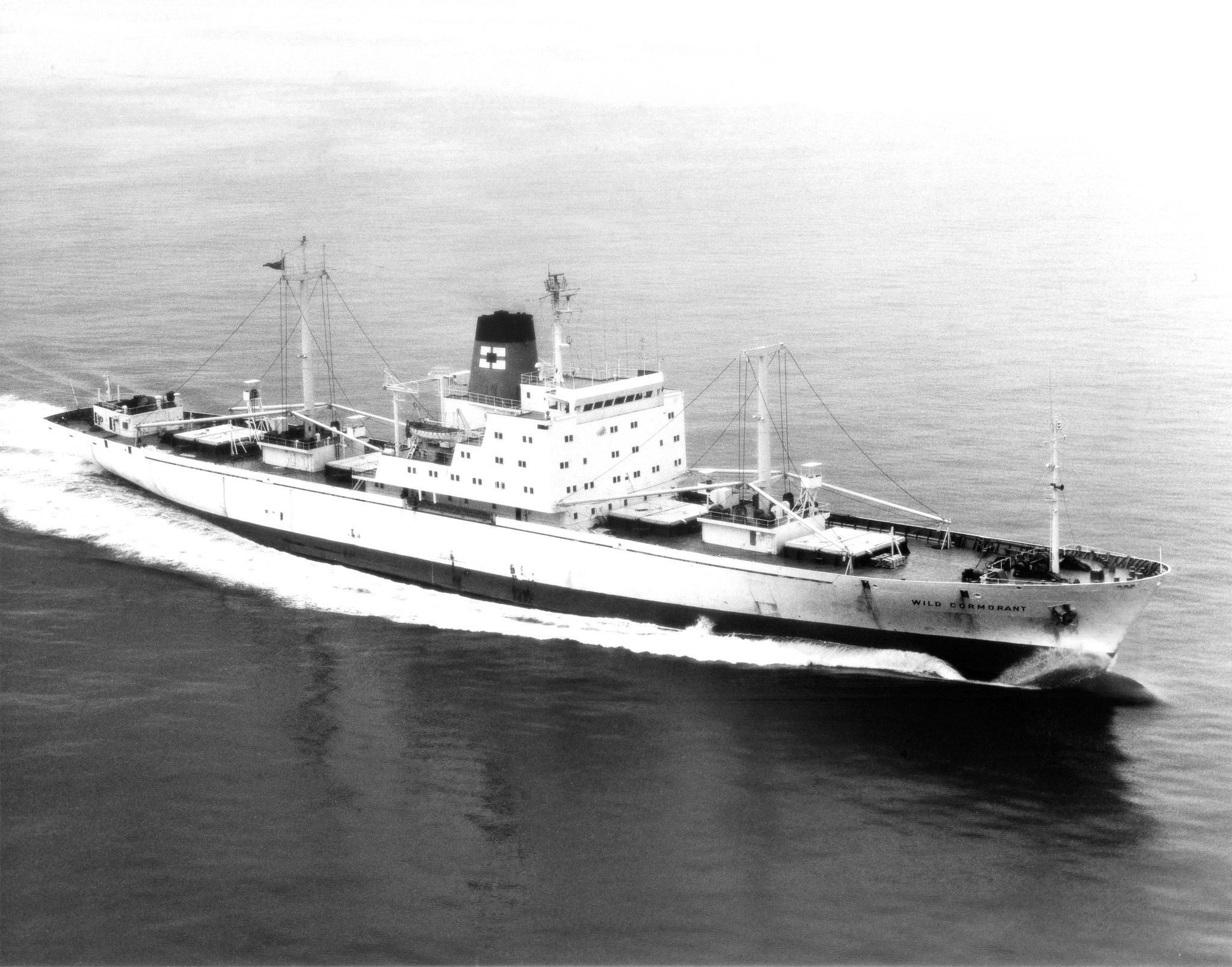 MS Scamper ship history and specifications