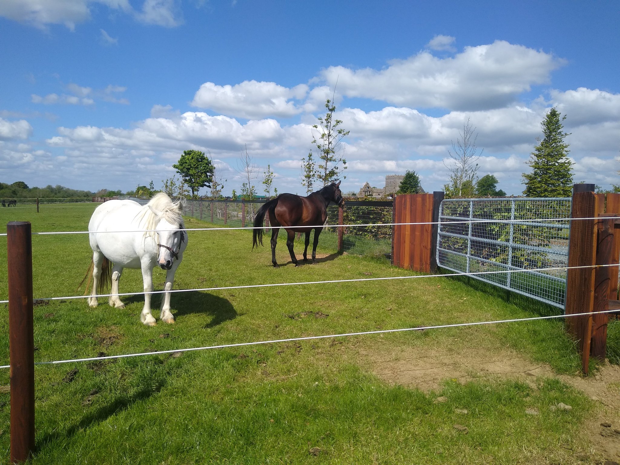 mcnamara-fencing-castletownroche