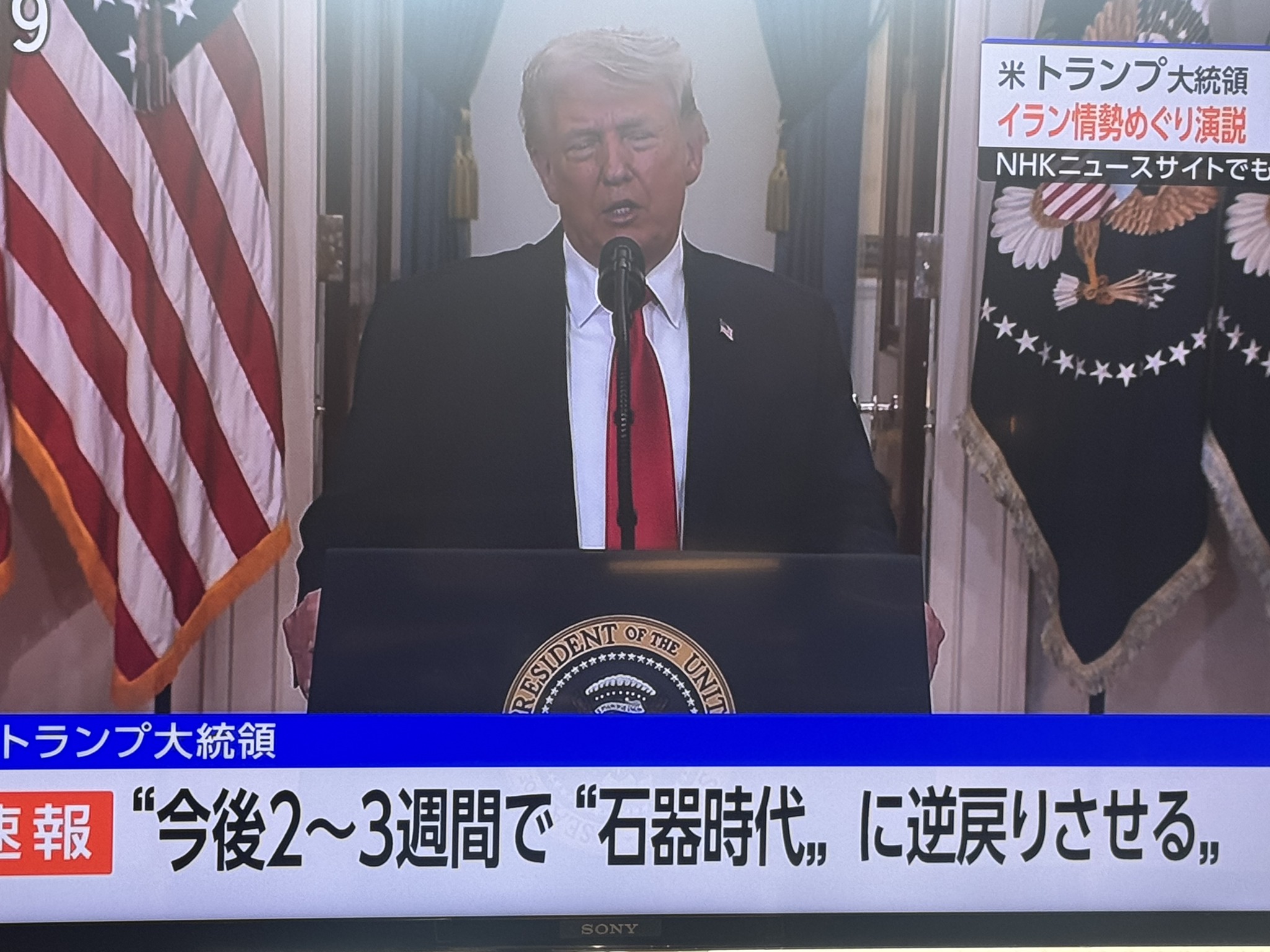 活動歴および当時の関連ビジュアル記録