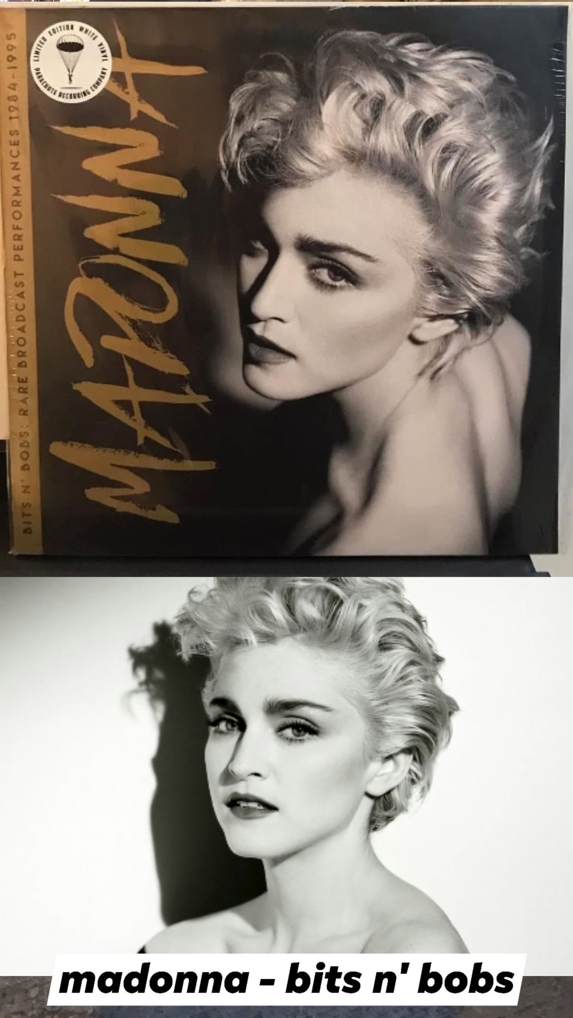 Stardust vs Madonna 