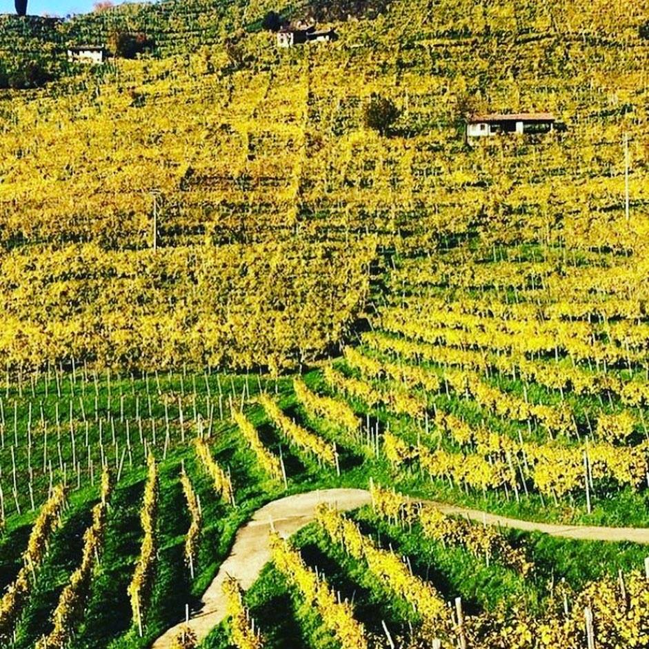 Agriturismo Zapparè added a new... - Agriturismo Zapparè