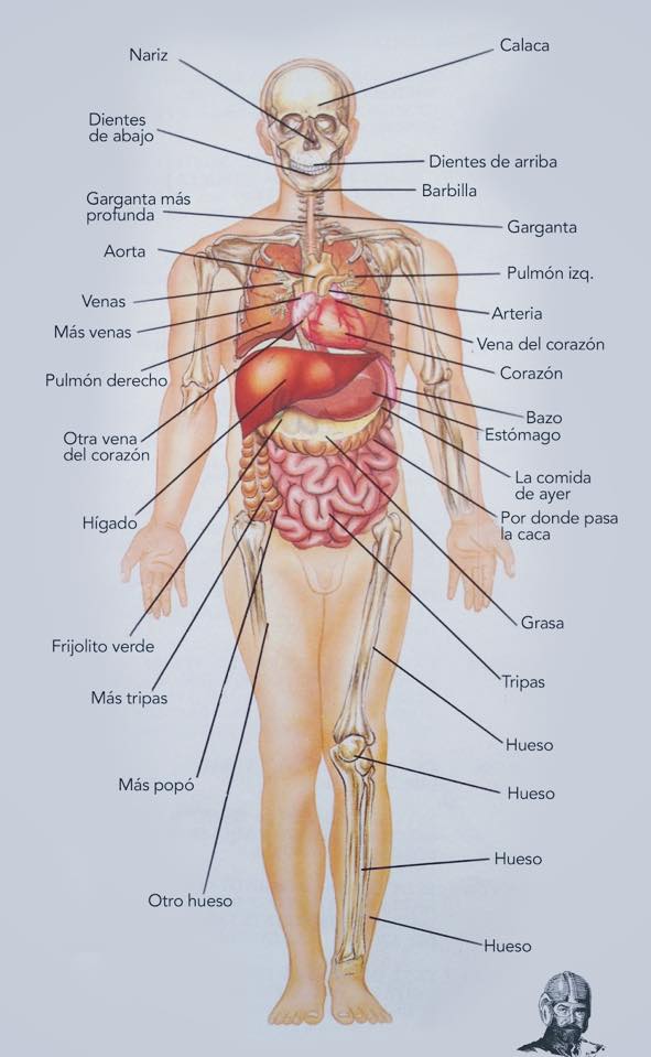 Conociendo nuestro cuerpo y sus partes. | Facebook