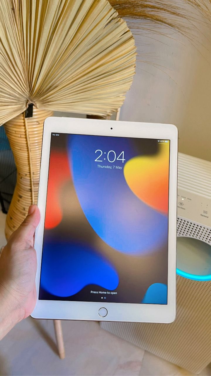 Ipad Air 2 16GB (wifi +cellular )