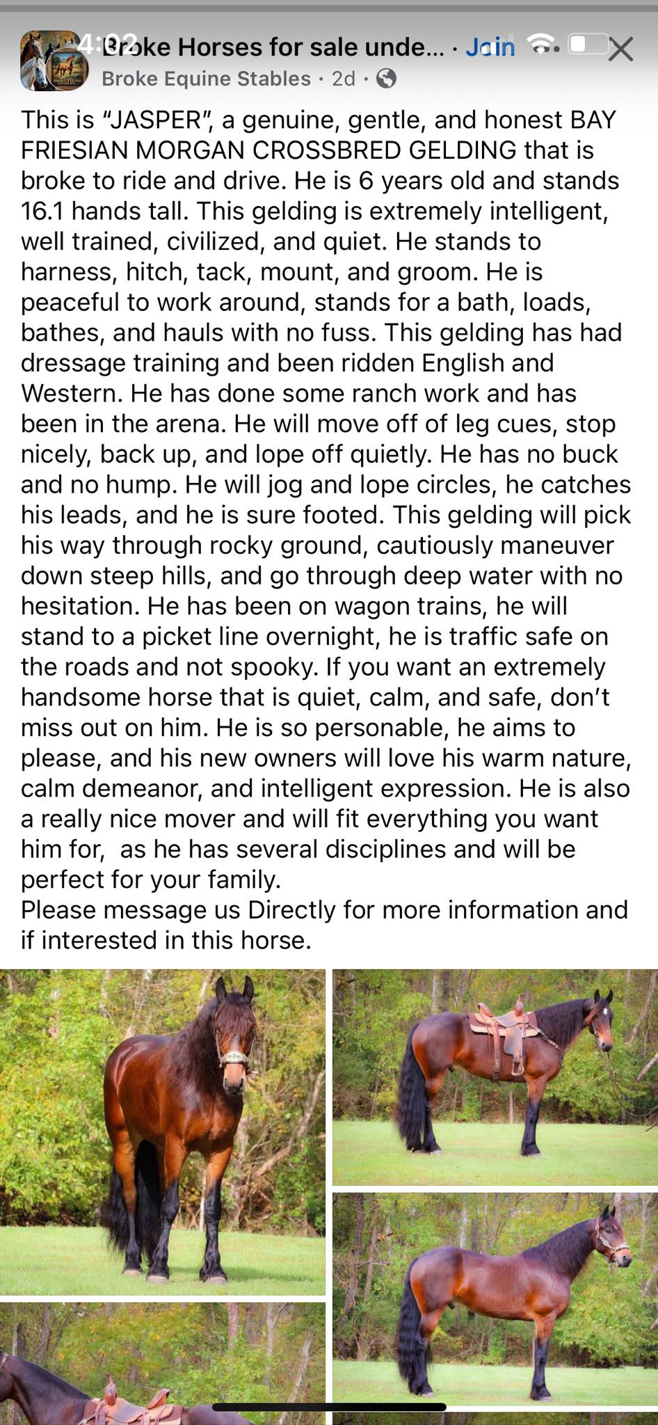 Horse Dealer Scammers DO NOT BUY | Facebook