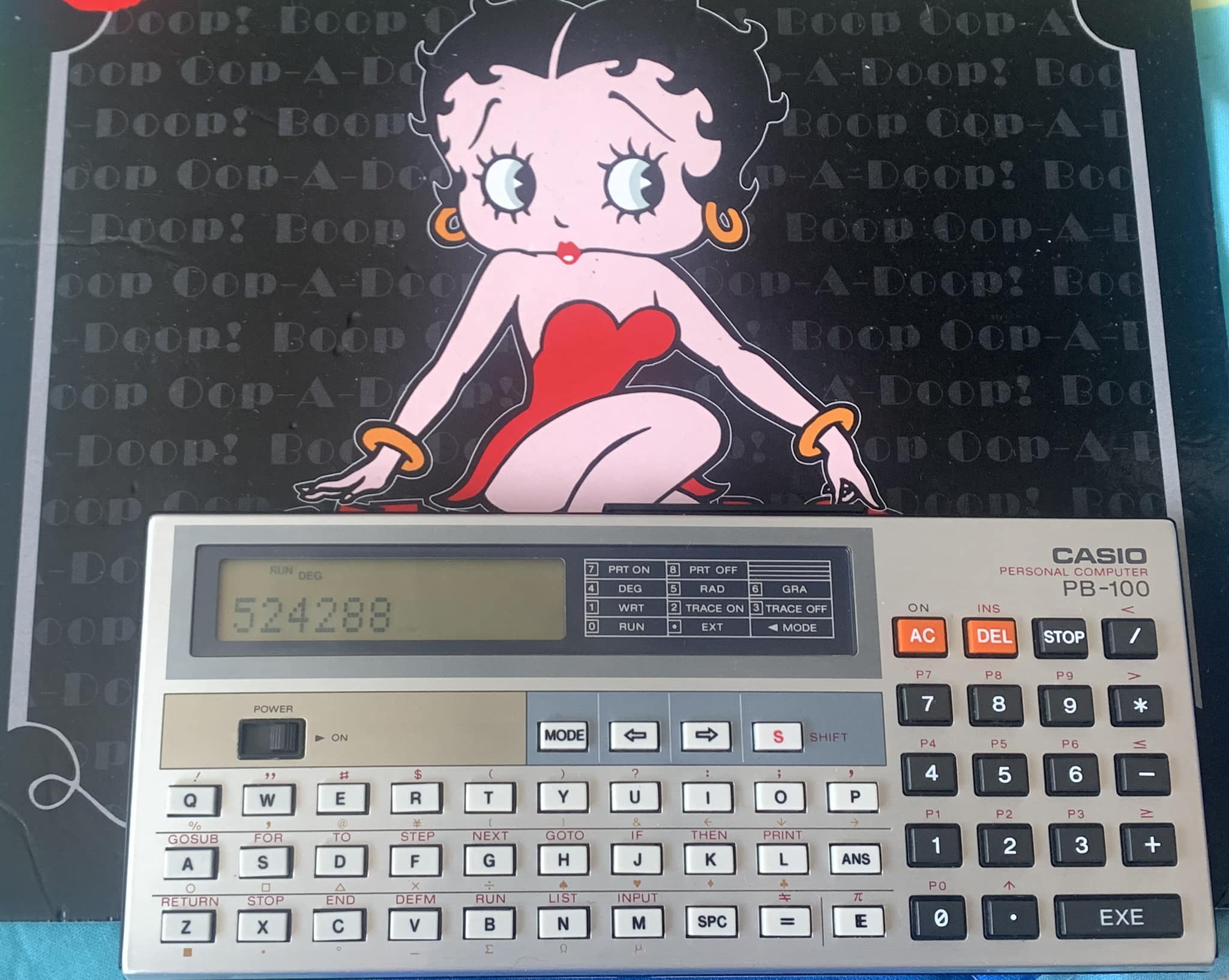 Casio PB-300 book