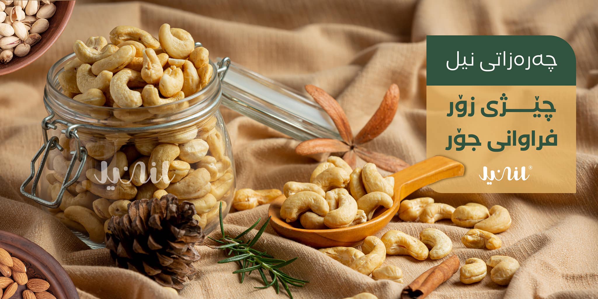 Nil Nuts - چەرەزاتی نیل